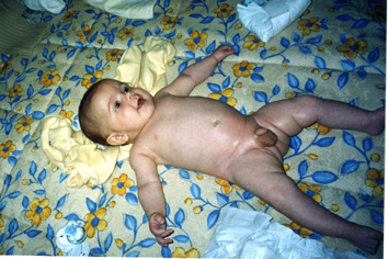 Pincha para verla m�s grande